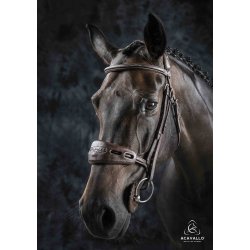 Acavallo Soft Gel Nose and Poll Guard, sort