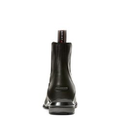 Ariat Devon Nitro Zip Paddock