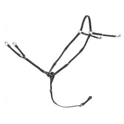 Schockemhle fortj Race II