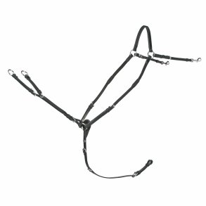 Schockemhle fortj Race II