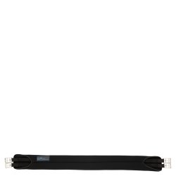 BR gp. gjord "Evolution"