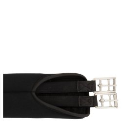 BR gp. gjord "Evolution"