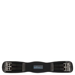 BR dressurgjord "Evolution"