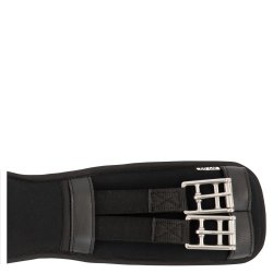 BR dressurgjord "Evolution"