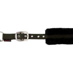 Covalliero grime Cordano, Olive