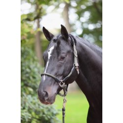 Covalliero grime Cordano, Olive