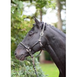 Covalliero grime Cordano, Olive