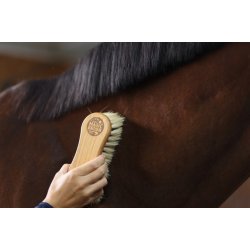 Magic Brush Kombi brste hestehr/fibre