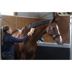 Magic Brush Kombi brste hestehr/fibre