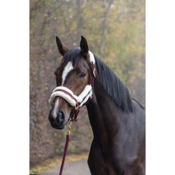 Covalliero Grime H/W 22