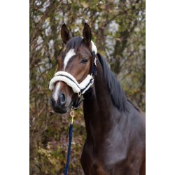 Covalliero Grime H/W 22