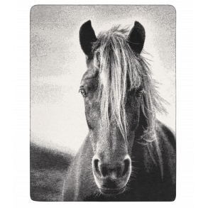 Tppe med hest 150x200