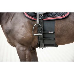 Catago Body Shield sort