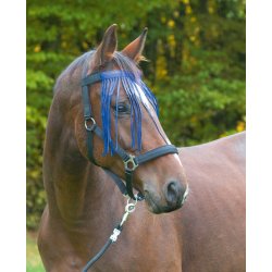 Covalliero fluepandebnd