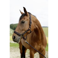 Grime Goleygo, med magnetisk adapter pin