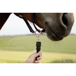 Grime Goleygo, med magnetisk adapter pin