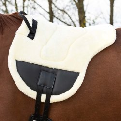 QHP Bareback pad Ontario