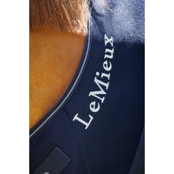 LeMieux Kudos Sportsmesh dkken