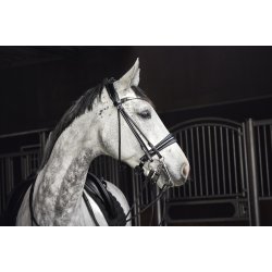 Catago Rundsyet Kandar Santo