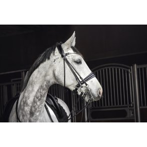 Catago Rundsyet Kandar Santo