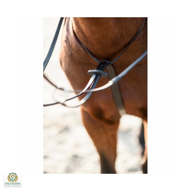 Cheval martingal