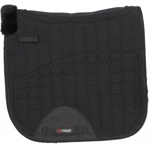 Catago Schabrack  med im. Lammeskind