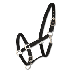 Waldhausen grime Perlon