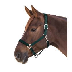 Waldhausen grime Satin