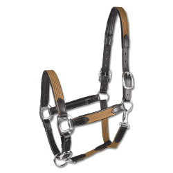 Waldhausen grime Star Mix