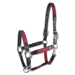 Waldhausen grime Star Mix