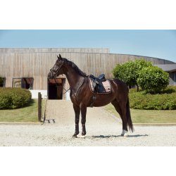 Catago FIR-Tech Elegant Schabrack