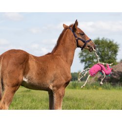 QHP heste legetj, enhjrning