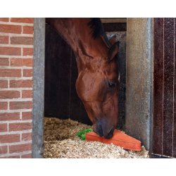 QHP heste legetj, XL gulerod 