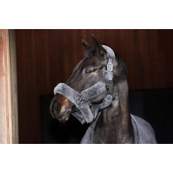 CATAGO Quick dry grime asphalt