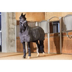 CATAGO Quick dry grime asphalt