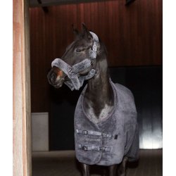 CATAGO Quick dry grime asphalt