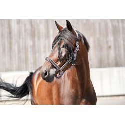 HG Karo fluepandebnd Sort med slv