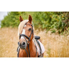 HG Karly trense m. kombineret NB Sort