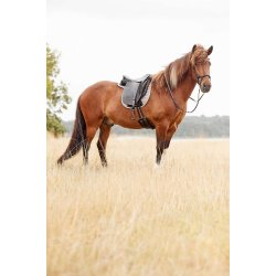  CATAGO Hybrid islnder schabrack m. neopren