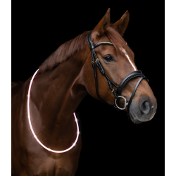 Halsrem med LED Lys, 150cm