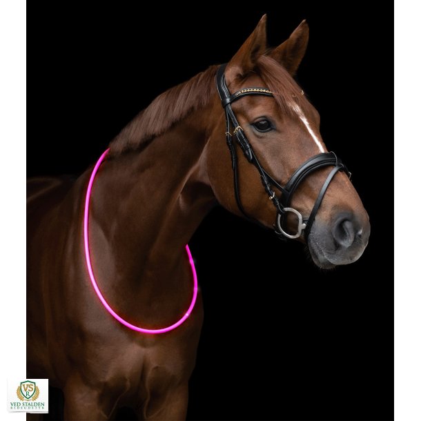 Halsrem med LED Lys, 150cm