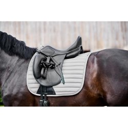 CATAGO Hybrid schabrack