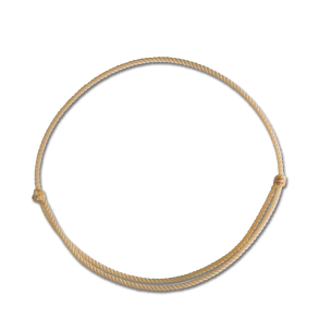 Linda Tellington-Jones Cordeo