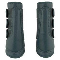 Anky Proficent Gamacher, Pine Grove