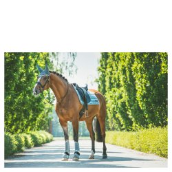 Anky fluehtte, Stormy Weather