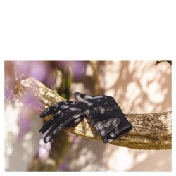 ANKY Teknisk Ridehandske, Sort