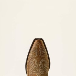 Ariat Round Up Collins D Toe Western St�vler