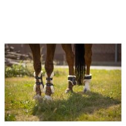 BR Springgamacher Urban Comfort 