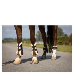 BR Springgamacher Urban Comfort 