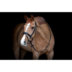 CATAGO Brooklyn trense